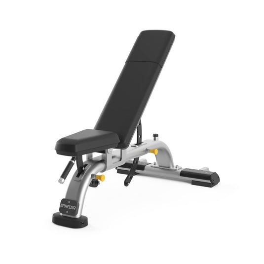 GHẾ TẬP PRECOR ADJUSTABLE BENCH DBR119